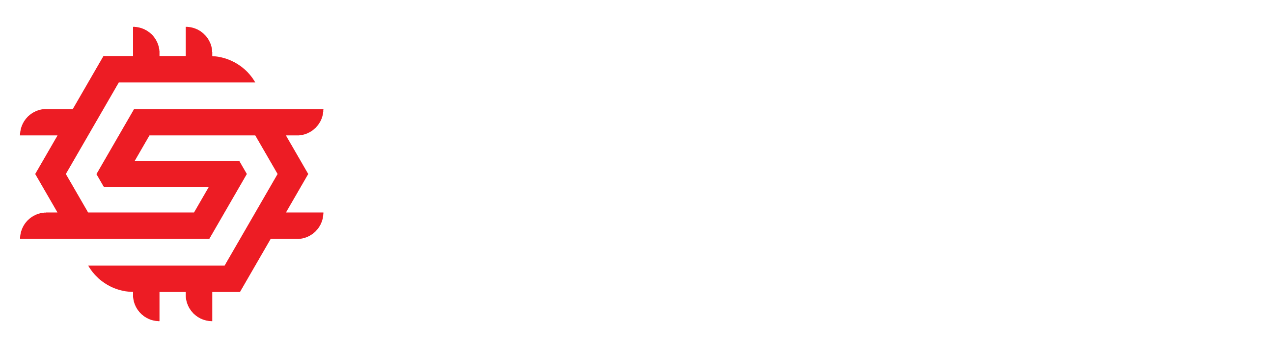 Logo Secution GmbH